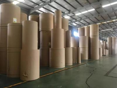 「漳州工业影像记」福建欣龙包装制品:老牌实业在新时代迸发“速度与激情”
