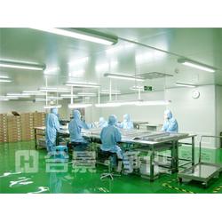 净化公司 合景实业 观澜净化公司